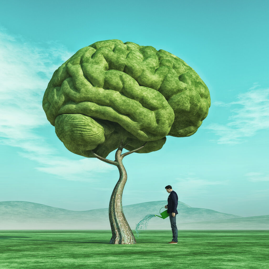 Image représentant un homme arrosant un arbre. Le feuillage de l’arbre a la forme d’un cerveau humain. Ainsi, l’Homme prend soin de la nature et de son savoir.