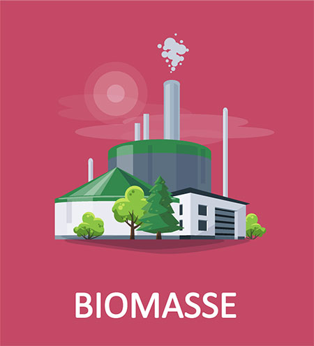 visuel symbolisant la biomasse